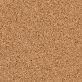 Линолеум Tarkett Primo Plus 303 Линолеум Tarkett Primo Plus 303