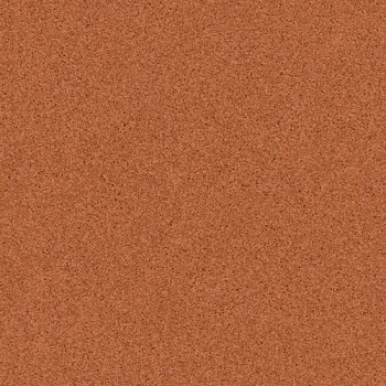 Линолеум Tarkett Primo Plus 305 Линолеум Tarkett Primo Plus 305