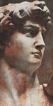 Ковер VT\A564\SG5918R Давид 1 коричневый (119,5см*238,5см*11мм) (1шт/2,85) матовый, м2