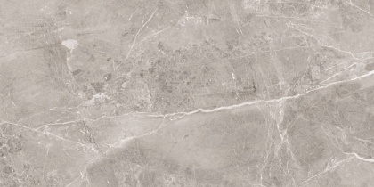 Керамогранит 60х120 Obsidian grey Серый (120смх60смх9мм) (2шт_1,44м2) полированный, м2