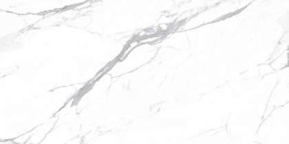 Carrara Terrific Silver Керамогранит белый 60х120 Матовый Carrara Terrific Silver Керамогранит белый 60х120 Матовый