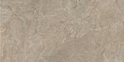60x120 StoneSystem Пьетра Рома Табачный Матовый R10A