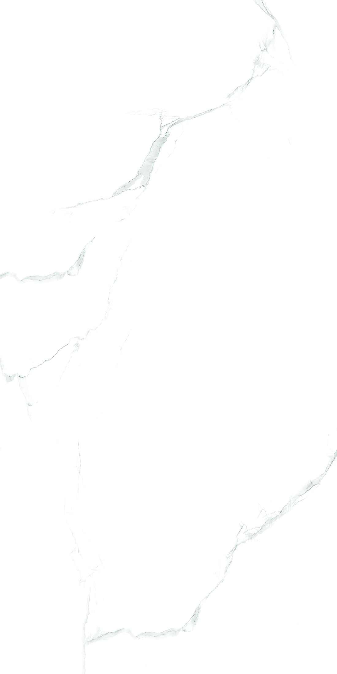 Керамогранит 600x1200 SILVER SATUARIO Керамогранит 600x1200 SILVER SATUARIO
