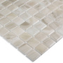 Стеклянная мозаика 5601 Sea Salt 25x25, Nature