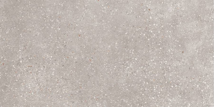 GT182VG Керамогранит Сoral RoСk_GT светло-сер. 30x60 _ 1\58,32