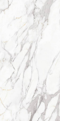 Керамогранит Carrara Elite 80х160 Керамогранит Carrara Elite 80х160