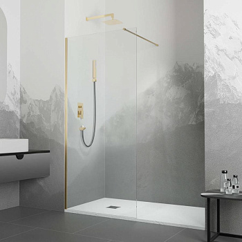 Душевая перегородка RGW WA-10G 900