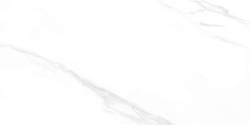 Carrara Excellent Silver Керамогранит белый 60х120 Матовый Carrara Excellent Silver Керамогранит белый 60х120 Матовый