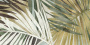 Tropic Декор VT\A662\48018R 40x80 матовый обрезной