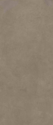 Керамогранит Scs Spectra Mushroom Gv 120х278х6