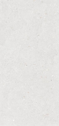 Керамогранит Stx Fossil Bianco 3pc 59,8х119,8