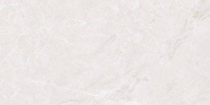 Mramor Princess White Керамогранит светло-серый 60х120 Полированный