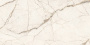 60x120 СильверРут Слоновая Кость Матовый R10A Ректификат