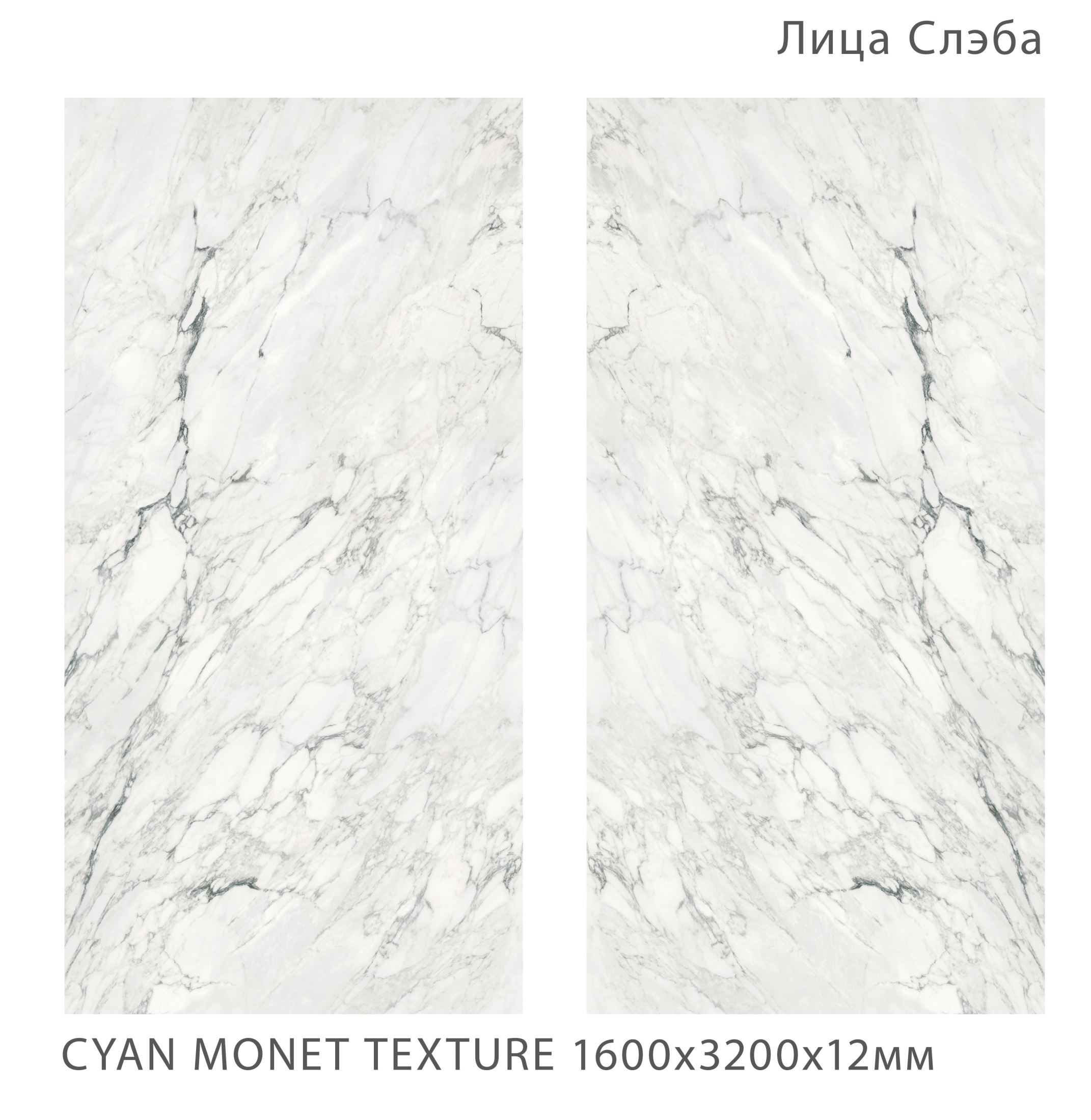 Керамогранит CYAN MONET 1600х3200х12мм TEXTURE