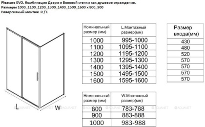 Боковая стенка Aquanet Pleasure Evo 1000 AE65-F100-BT профиль черный, прозрачное стекло