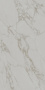 Монте Тиберио серый светлый матовый обрезной 119,5x238,5x1,1