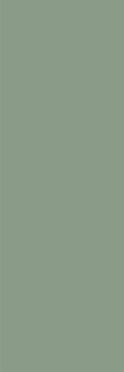 Плитка Ekzotic olive 30х90 Плитка Ekzotic olive 30х90
