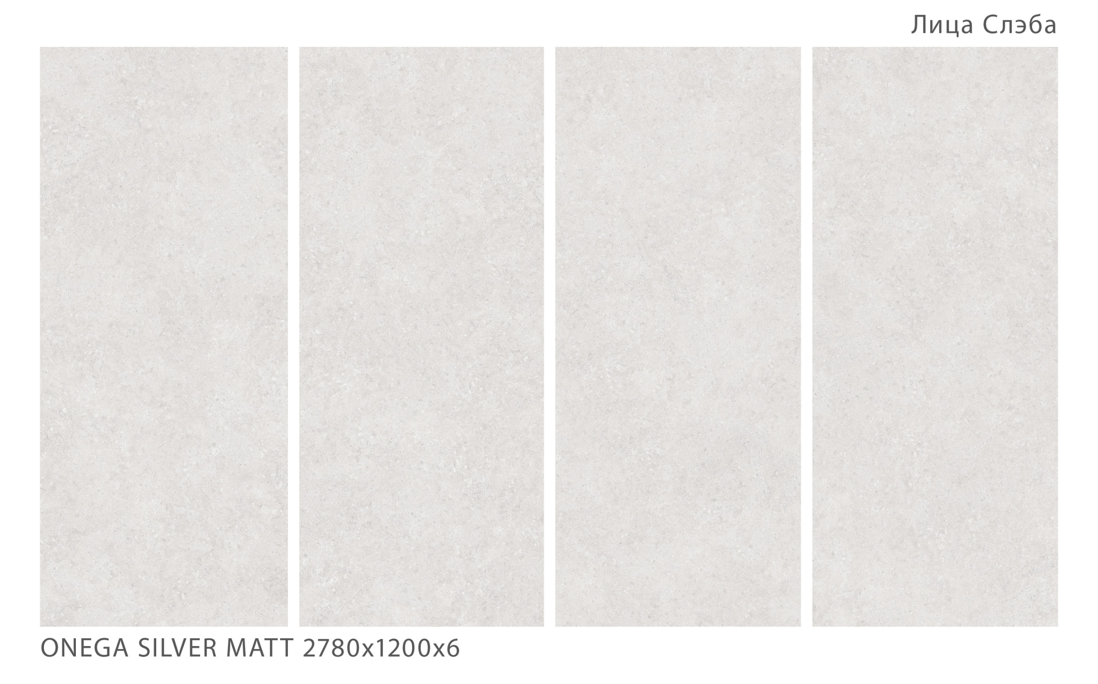 Керамогранит ONEGA SILVER 2780х1200х6мм XYLOTECH Matt