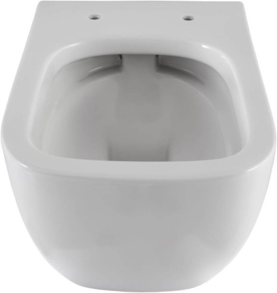 Подвесной унитаз Allen Brau Infinity 4.21004.20