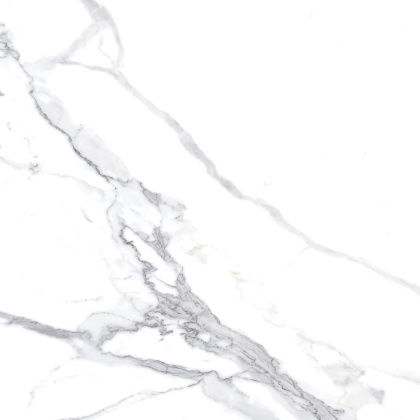 Calacatta Splendid Silver Керамогранит белый 60х60 Матовый Calacatta Splendid Silver Керамогранит белый 60х60 Матовый