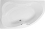 Акриловая ванна Aquanet Capri 170x110 L (с каркасом) Акриловая ванна Aquanet Capri 170x110 L (с каркасом)