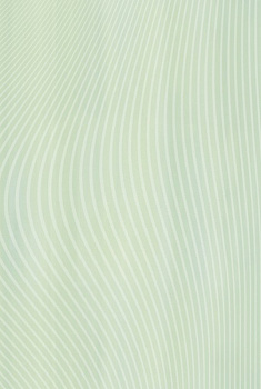 Schunter 8251 Смеситель для душа