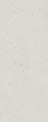 Скарпа серый светлый матовый 20x50x0,8