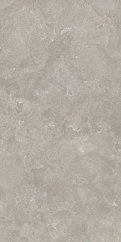 Вояджер Грэй 60X120 Рет