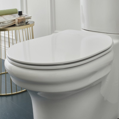 Крышка-сиденье для унитаза E24048-0 Jacob Delafon Cleo белый с микролифтом, шт.