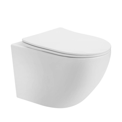 Подвесной унитаз Abber Bequem AC1100T с микролифтом