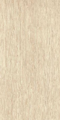 Керамогранит Bali Dyne 30х60 Керамогранит Bali Dyne 30х60