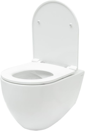 Подвесной унитаз Allen Brau Reality 4.32006.20