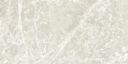 GT209VG Настенная плита AСtion_GT светло-сер. 30x60 _ 1\58,32