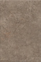 Каприччо коричневый глянцевый 20x30x0,69