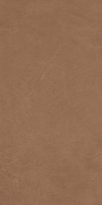 Керамогранит Anti-Slip Argillae Terra Rect 60х120