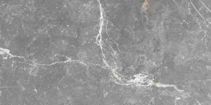 GT99VG Плитка облиц. Capella GT Сер. 50*25 _ 1 \74,25