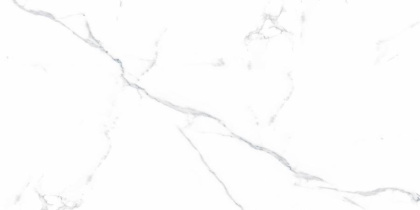 Statuario Justice Grey Керамогранит белый 60х120 Матовый Statuario Justice Grey Керамогранит белый 60х120 Матовый