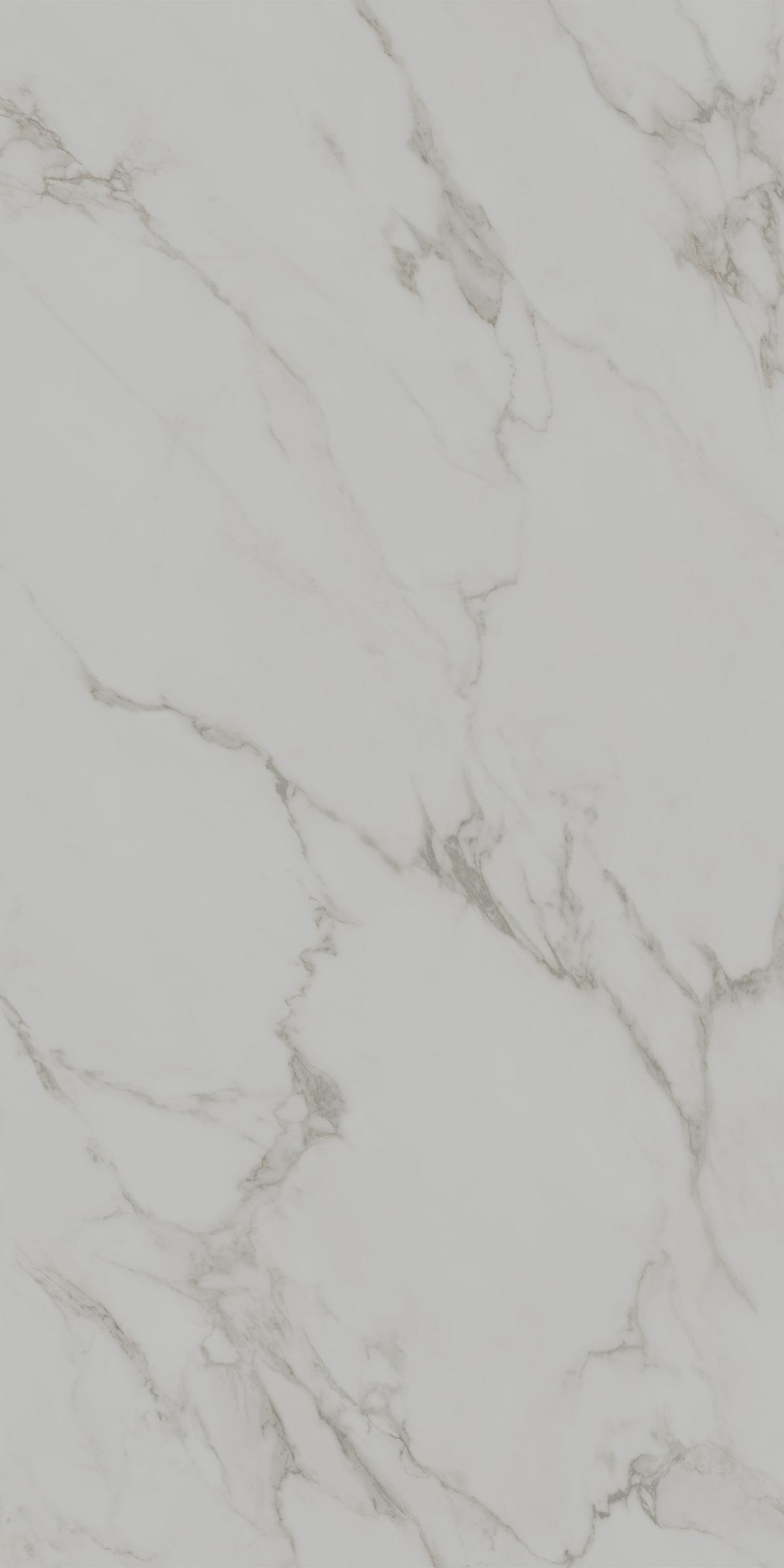 Монте Тиберио серый светлый матовый обрезной 80x160x0,9