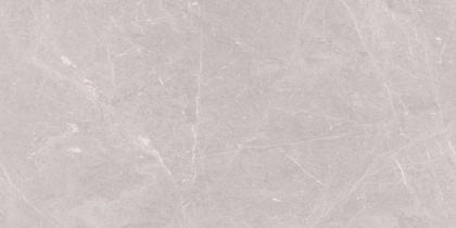 Stone Sovereign Керамогранит серый 60х120 Матовый Stone Sovereign Керамогранит серый 60х120 Матовый