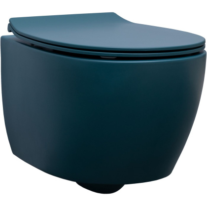 Подвесной унитаз Allen Brau Fantasy 4.11004.PT петроль