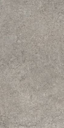 Дискавер Грэй 60X120 Рет